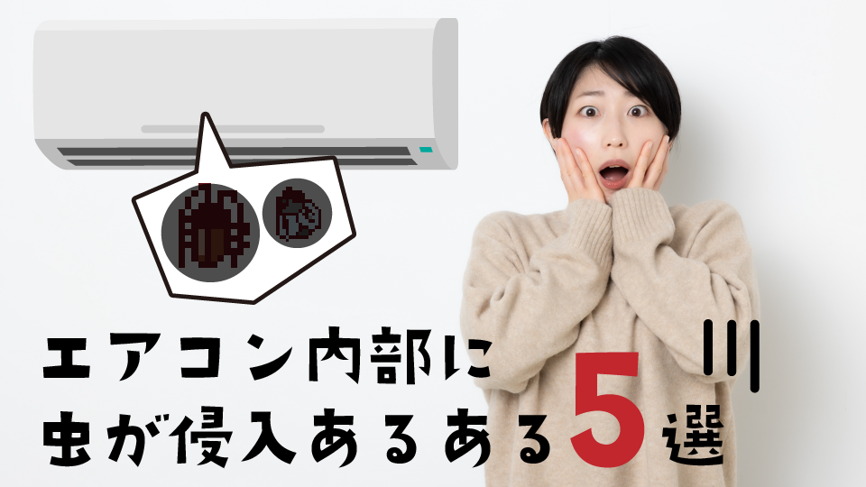エアコン内部に虫が侵入する“あるある”5選