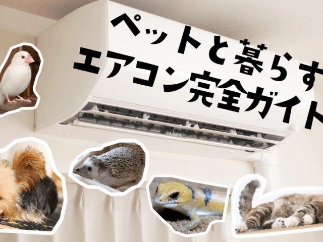 ペットと暮らすエアコン完全ガイド｜温度・湿度設定／機能選び／毛・におい対策【保存版】