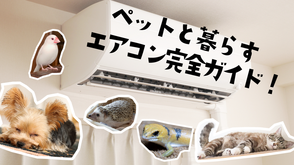 ペットと暮らすエアコン完全ガイド｜温度・湿度設定／機能選び／毛・におい対策【保存版】