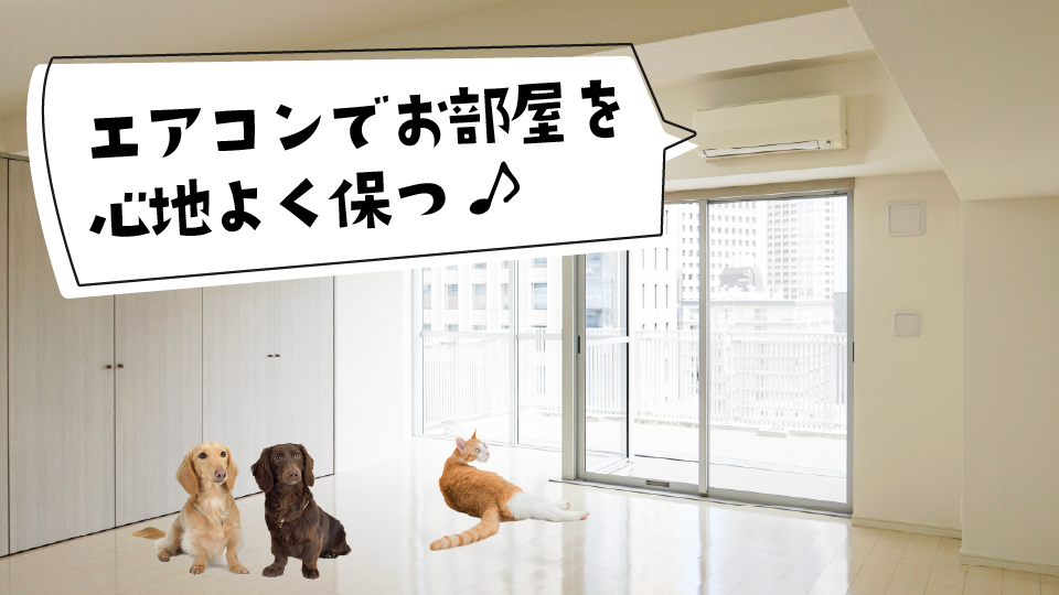 エアコンでお部屋を心地よく保つコツ(温度・湿度・見守り)