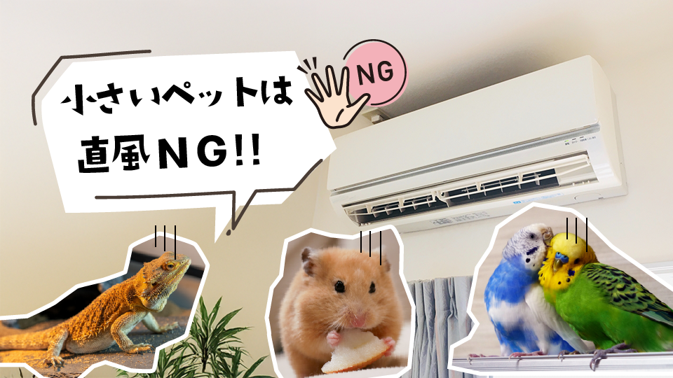 小動物・鳥・爬虫類など体が小さいペットほどエアコン直風はNG!
