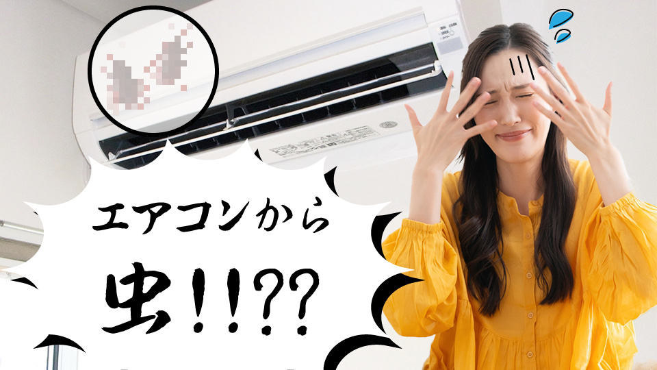 衝撃！エアコンから虫が！？虫が侵入したときの原因・対処法・防止策を徹底解説！