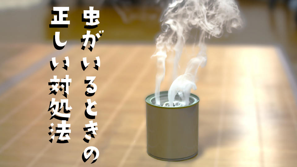 エアコンの中に虫がいるときの正しい対処法